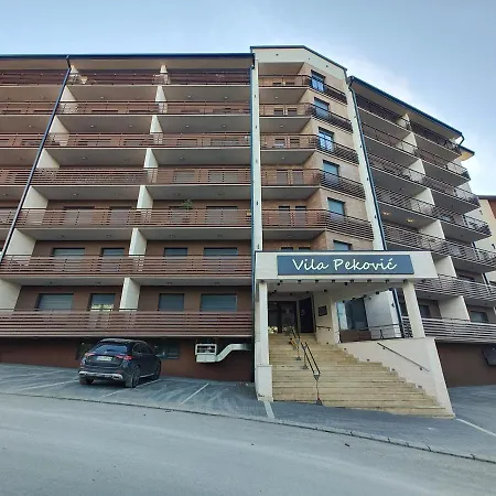 Apartment Velika Recepcija 38